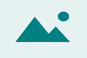 UnlockTool Activation - [ New / Renew ] - [ 6 Months ]